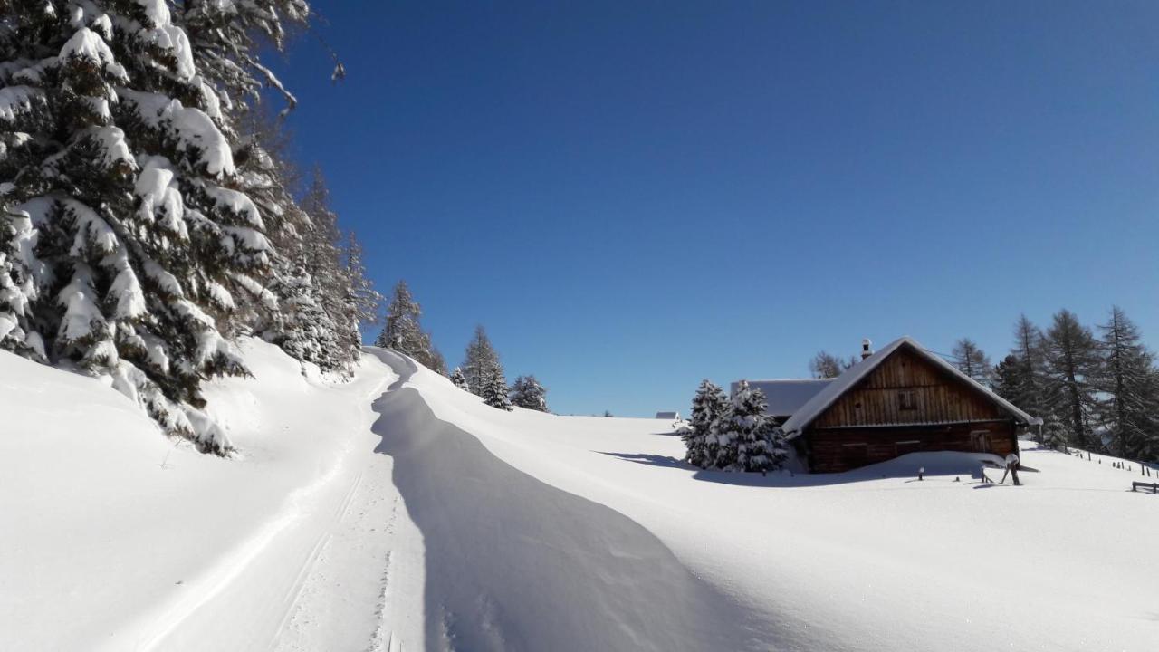 Pfeifferhof Villa Mariapfarr Luaran gambar